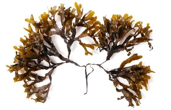 Inno Gialuron contains fucus extract